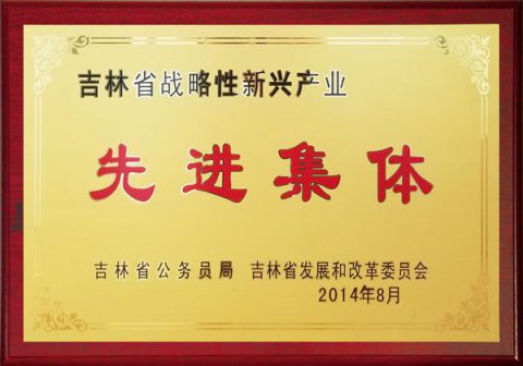 先進(jìn)集體